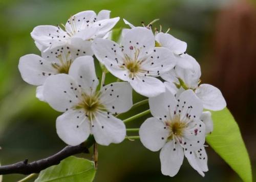 一首关于生活无助的美丽诗