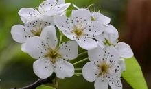 关于描写生活无奈的优美诗句