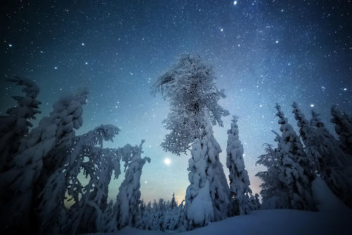 于平波：冬夜公园