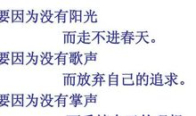 我的考研之路：相信自己，永不放弃