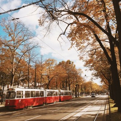 经典语录：当您不在寒冷的冬天，春天盛开的时候，您是谁？