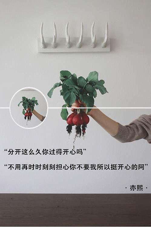 关于幸福的经典句子