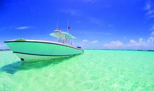 描写夏夜的好段