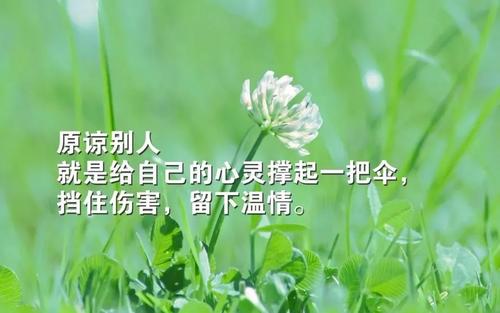 读正能量的感觉