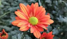 含泪向学生推荐一篇好文章