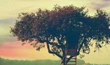 经典语录：欲为大树，莫与草争。有些事情，你争赢了，也输了