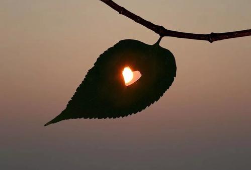 对场景的良好描述