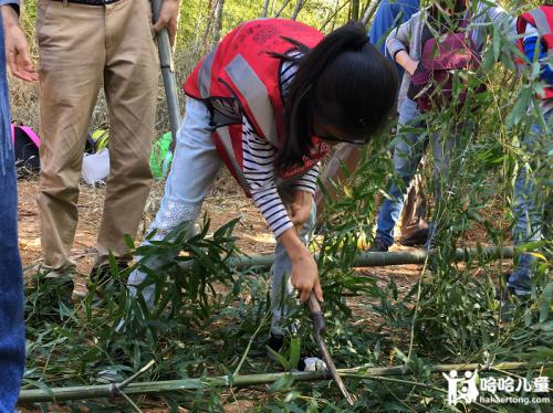 荒野生存挑战构成