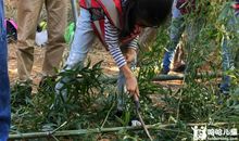 野外生存挑战作文