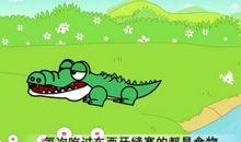 描写鳄鱼外貌的句子