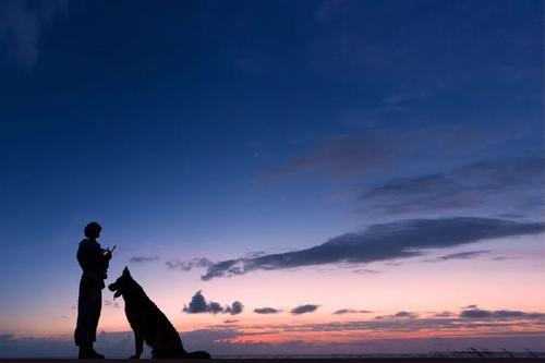 什么是信任（一个震撼人心的故事）