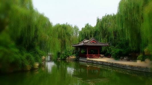 老舍：大明湖的春天