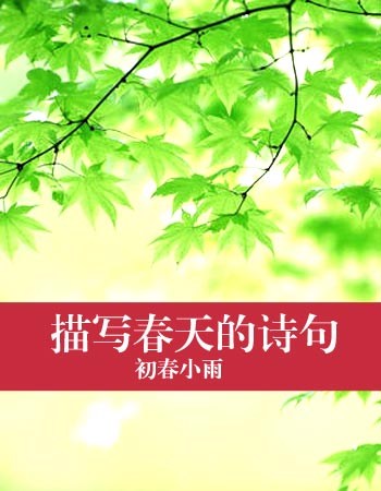 描述春季声明