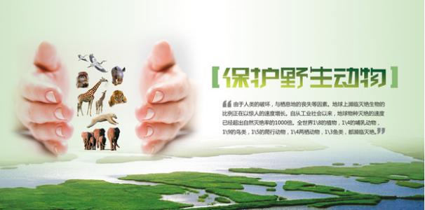 动物保护公共服务广告