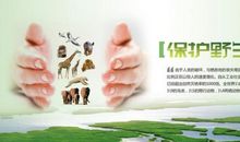 保护动物的公益广告