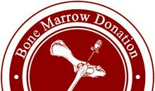 造血干细胞知识宣传观后感