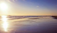 鲁迅：别诸弟三首