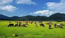 关于大自然的好段