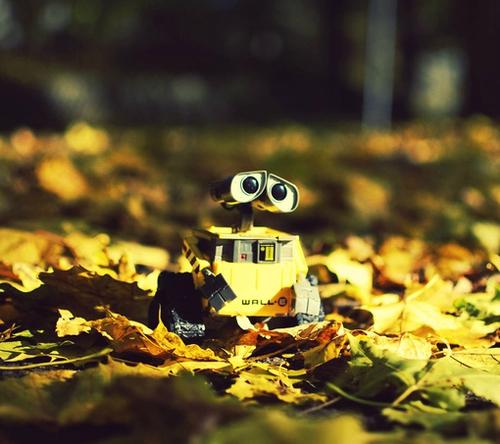 如果您想飞，今天就是起点