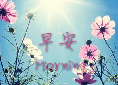 早安心语：只要您是对的人，为什么不等更长的时间？