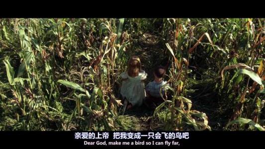 深圳阿甘正传，梦想成真