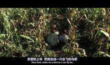 深圳阿甘，让梦想开花