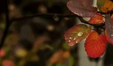 真正厉害的人，都懂得和别人的优点相处