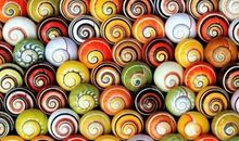 蜗牛也可以拥有一片高远的蓝天