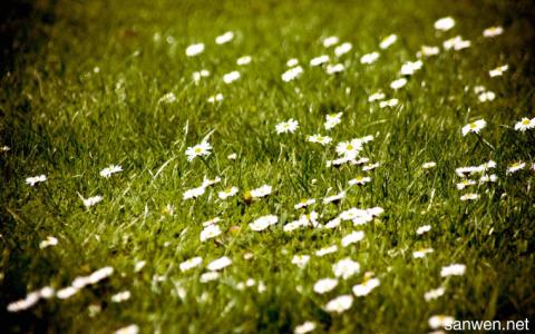 一个描述春天的好句子