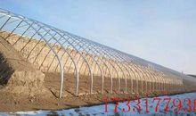 不费吹灰之力造句