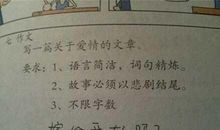 老师，只有您站着作文