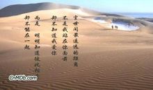 情癫大圣经典台词