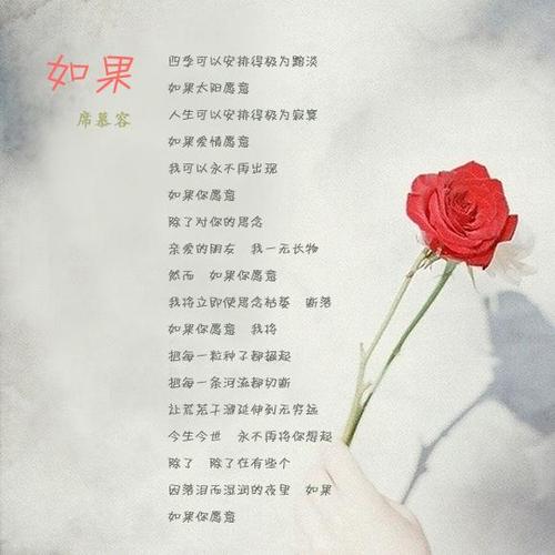 习慕容：悬崖菊花与欣赏