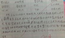 从书中摘录的优美句子