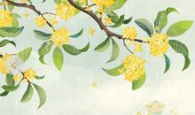 关于描写桂花的好段