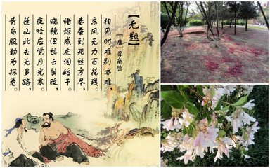 李尚的无形句子