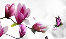 描写玉兰花的句子