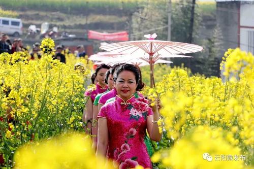 温一朵：花开了