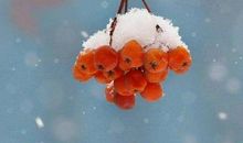 18句微信人生感悟经典语录，句句透彻，谁看谁受益