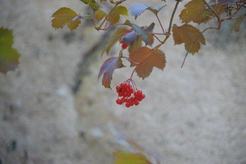 没想到拥有丰富多彩的生活