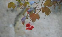 与多彩的人生，不期而遇