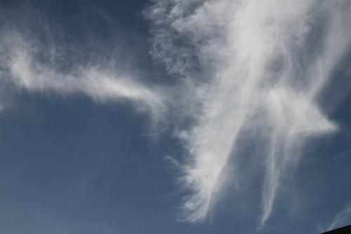 离开家很多年后成为客人：遥不可及的童年记忆