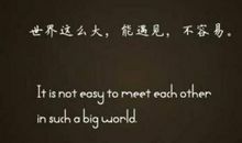 感情的经典语句