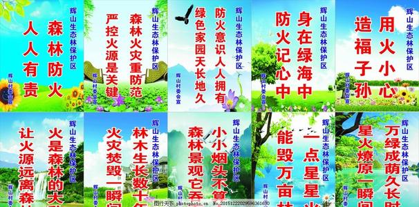 创建森林城市口号