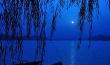 描写月亮的现代诗