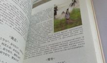 诗经：昊天有成命