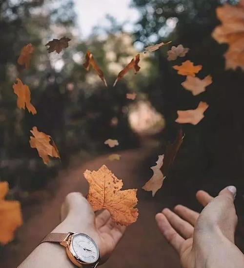 悲伤的句子感动人心