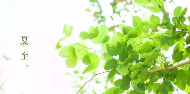 二十四节气农谚歌