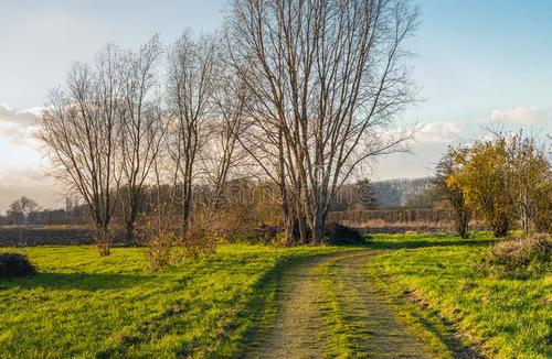 乡村环境优美的诗