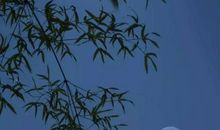 表达牵挂的诗句